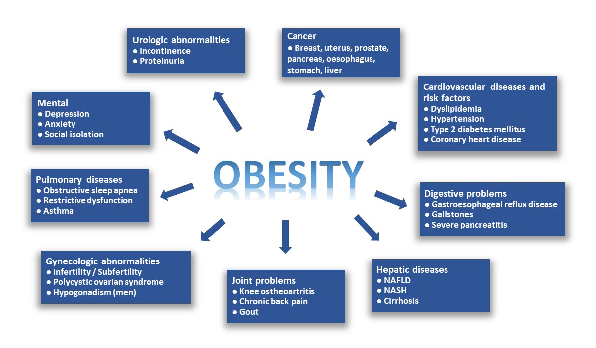 Obesity - Picture