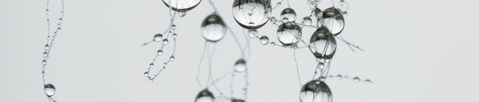 Drops Raindrops Synapse Network